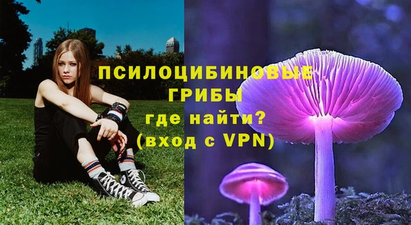 наркотики Богородицк
