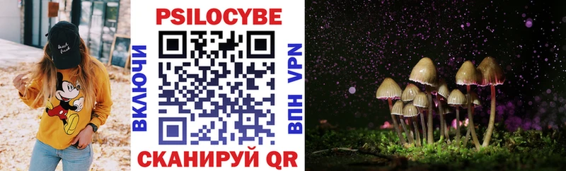 Купить  Куровское  Галлюциногенные грибы мицелий 