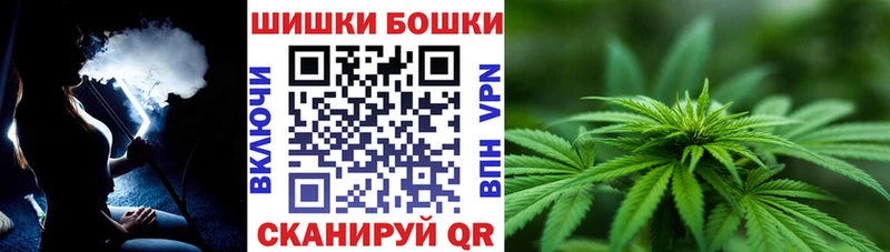 Бошки марихуана конопля  Купить где  Куровское 