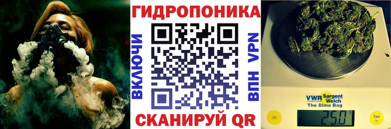 Марихуана планчик Куровское